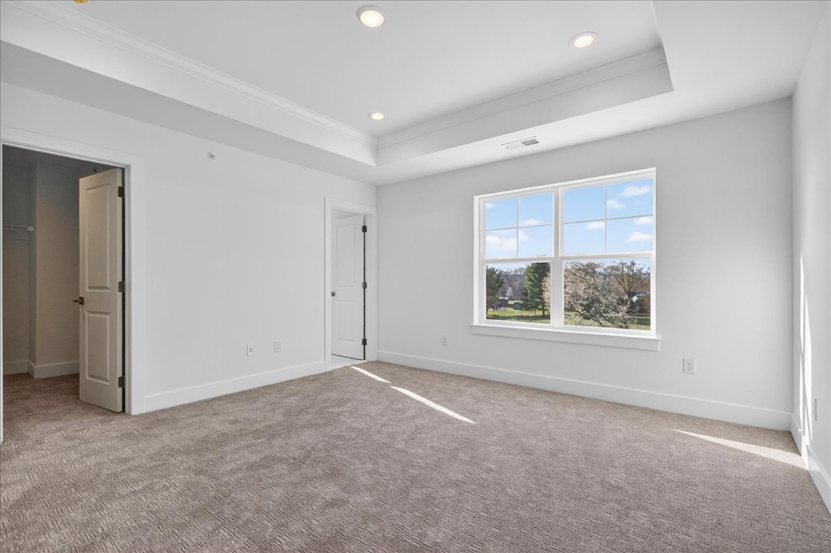 Primary suite alternate angle showing tray ceiling, walk-in closet doorway, and windows with a spring-tree view